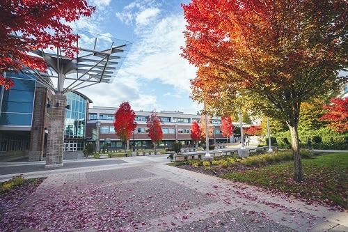 Tư vấn du học Canada Trường Douglas College – British Columbia, Canada