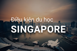 Đi du học Singapore cần làm những thủ tục gì?